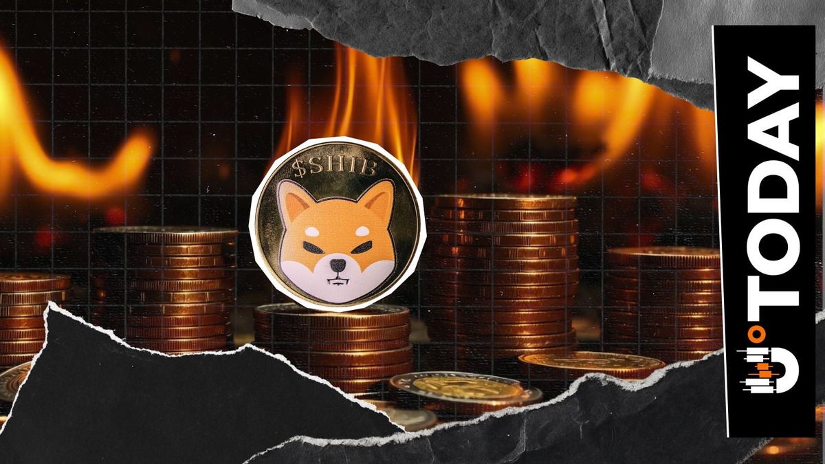 SHIB tokeni yoqilish darajasi keskin oshdi 🚀