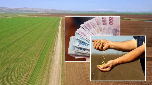 Qishloq xo‘jaligi subsidiyalari tarqatilmoqda 💸